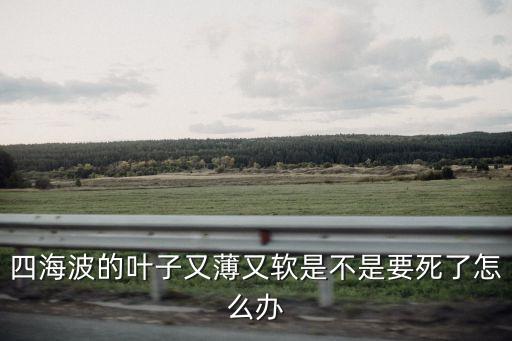 黃菊是怎么死的,如果是有計劃的韓美沒必要讓那么多船員死