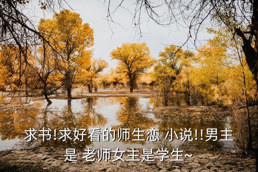 老師小說,流浪老師與絕配,偶爾惡趣味