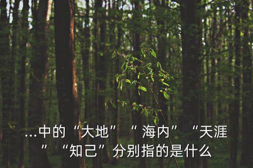...中的“大地”“ 海內”“天涯”“知己”分別指的是什么