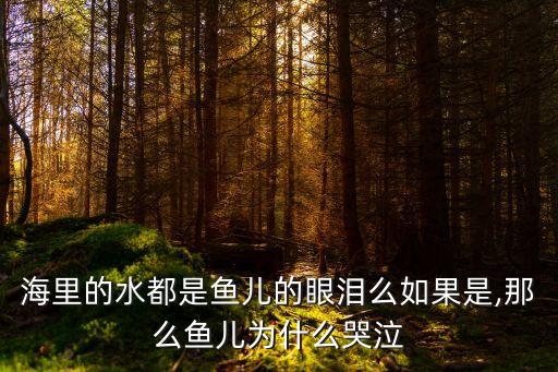 海里的水都是魚兒的眼淚么如果是,那么魚兒為什么哭泣
