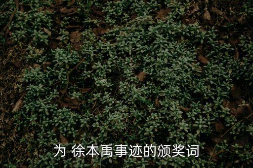 為 徐本禹事跡的頒獎詞