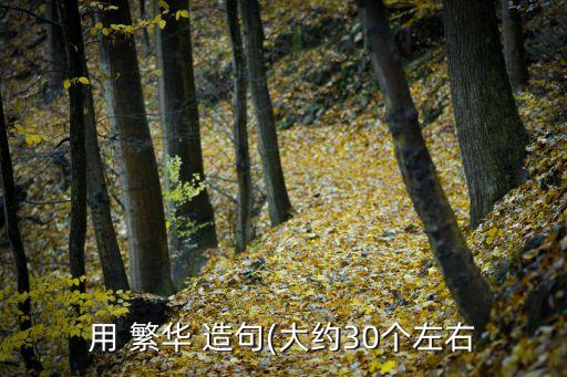 用 繁華 造句(大約30個左右