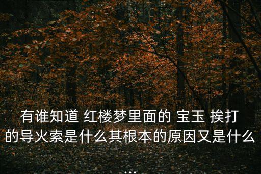 紅樓夢寶玉挨打,寶玉為什么挨打?看看這里!