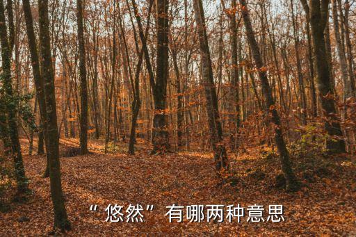 “ 悠然”有哪兩種意思