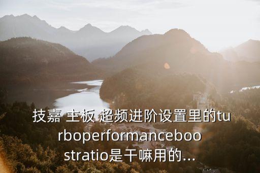  技嘉 主板 超頻進階設置里的turboperformanceboostratio是干嘛用的...