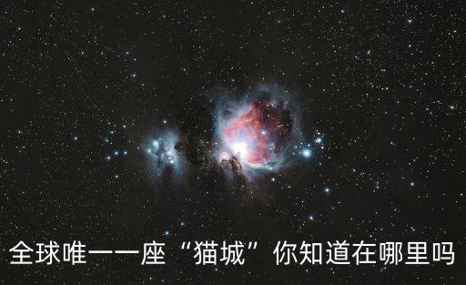 全球唯一一座“貓城”你知道在哪里嗎