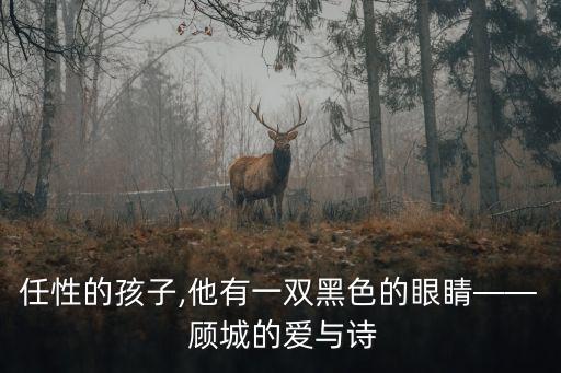 任性的孩子,他有一雙黑色的眼睛—— 顧城的愛與詩