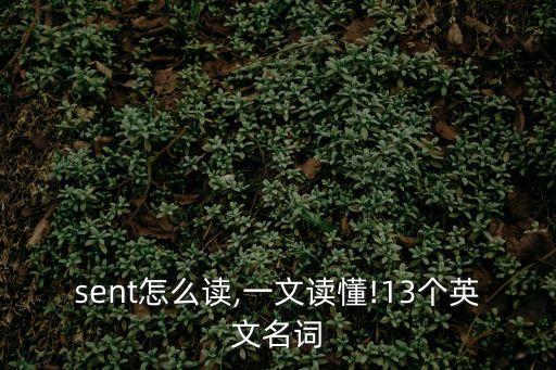 absent怎么讀,一文讀懂!13個英文名詞