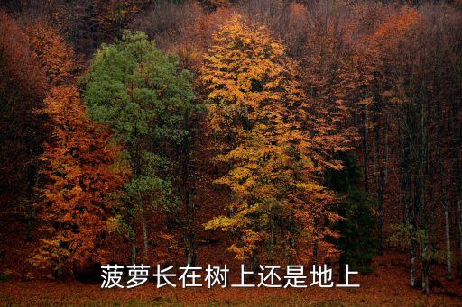 在地,關(guān)于一地雞毛你知道這些問題