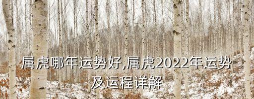 屬虎的運氣,屬虎的什么年份運氣好?