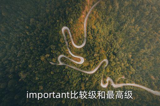 important比較級和最高級