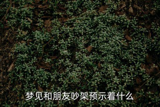 夢見和朋友吵架預示著什么