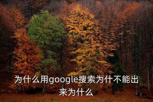 為什么用google搜索為什不能出來為什么