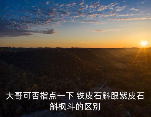 大哥可否指點一下 鐵皮石斛跟紫皮石斛楓斗的區(qū)別