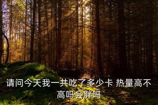 請問今天我一共吃了多少卡 熱量高不高嗎會胖嗎