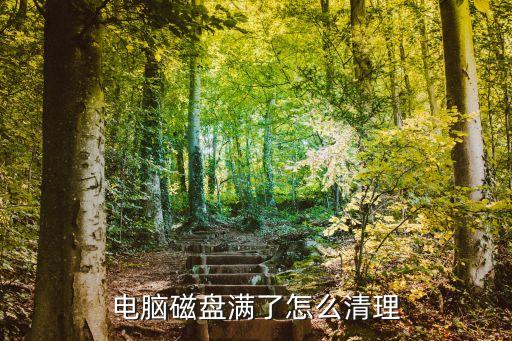 電腦磁盤已滿怎么清理，電腦磁盤滿了怎么清理