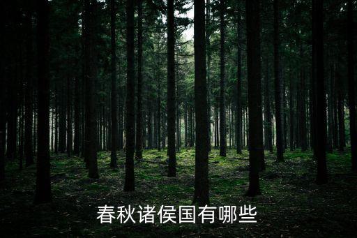 諸侯國，諸侯國是什么意思