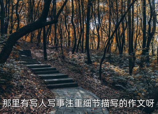 關于細節(jié)的作文，那里有寫人寫事注重細節(jié)描寫的作文呀
