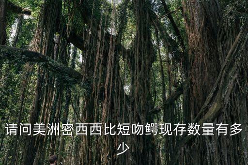 美洲短吻鱷，美洲短吻鱷魚在打斗中會受傷為什么他們傷口從不感染