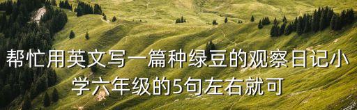 幫忙用英文寫一篇種綠豆的觀察日記小學六年級的5句左右就可