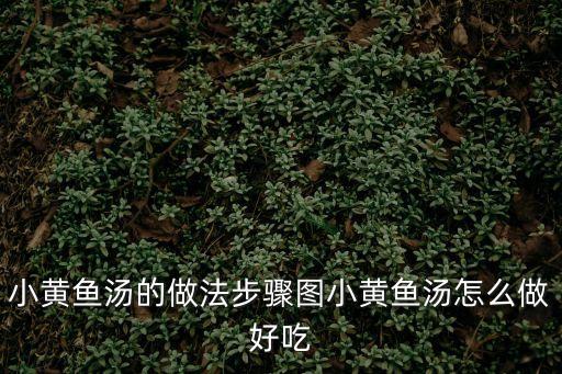 黃花魚湯，問 黃花魚怎么煲湯喝
