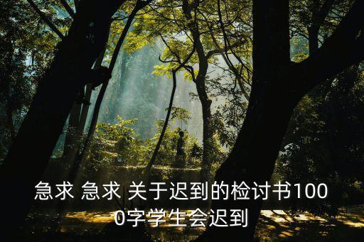遲到檢討書800字，遲到的檢討書