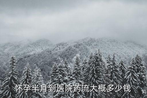 懷孕半月到醫(yī)院藥流大概多少錢