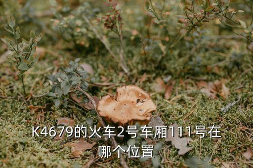111號，K4679的火車2號車廂111號在哪個位置