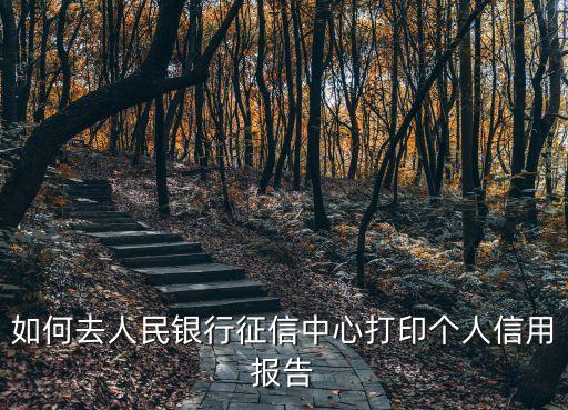 如何去人民銀行征信中心打印個人信用報告