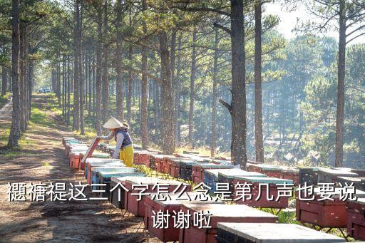 禵怎么讀，禵這個(gè)字念什么