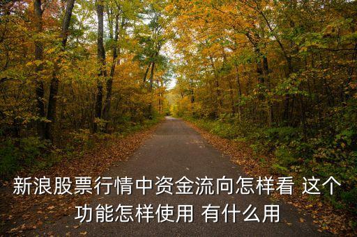 新浪股票行情中資金流向怎樣看 這個(gè)功能怎樣使用 有什么用