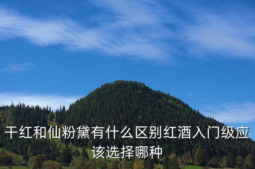 干紅和仙粉黛有什么區別紅酒入門級應該選擇哪種