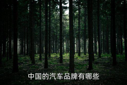 中國的汽車品牌有哪些