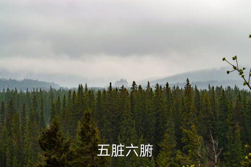 五臟六腑