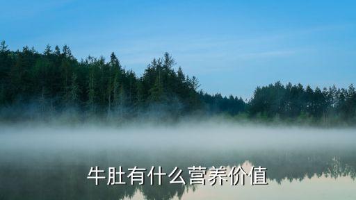 牛肚的功效與作用，牛肚對人身體的好處