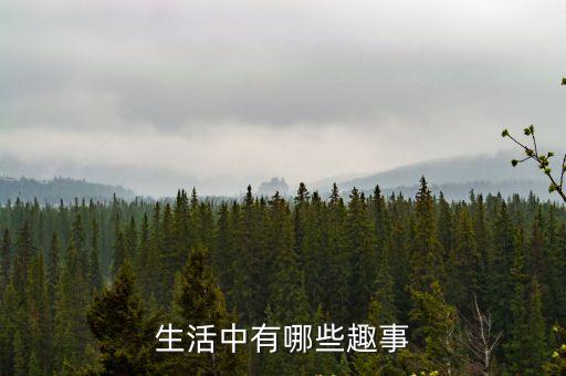 生活中有哪些趣事
