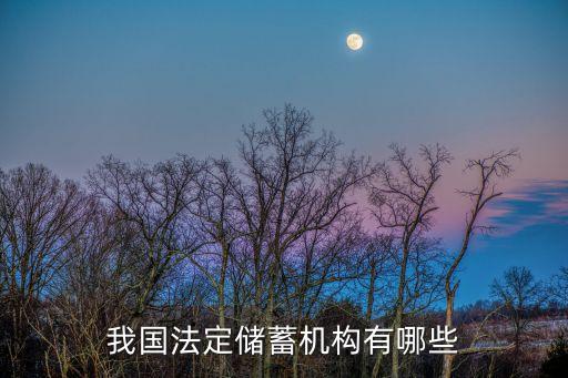 儲蓄機構，我國的儲蓄機構主要是什么