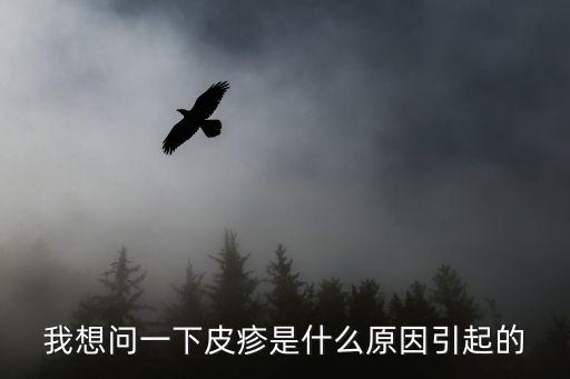 我想問一下皮疹是什么原因引起的