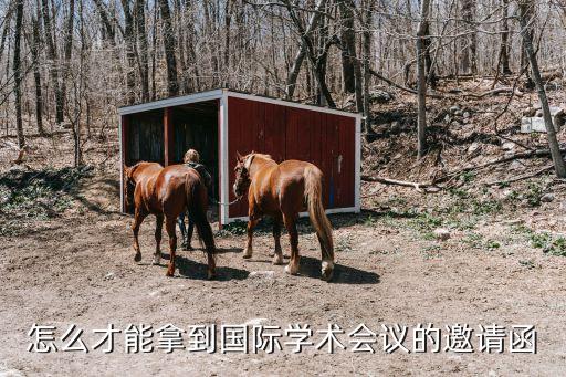 怎么才能拿到國際學術會議的邀請函