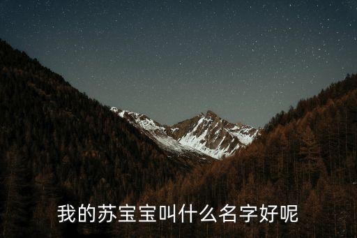 蘇寶寶，本人姓蘇想給兒子起個好聽的名字最好是兩個字