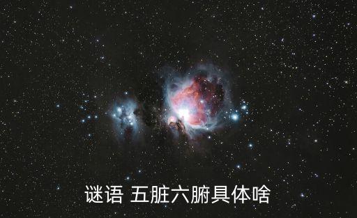 謎語 五臟六腑具體啥
