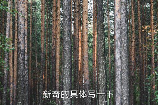 新奇的具體寫一下