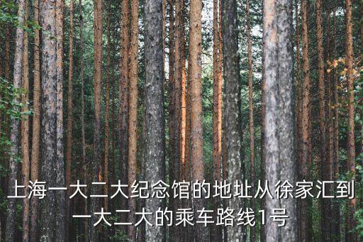 上海一大二大紀念館的地址從徐家匯到一大二大的乘車路線1號
