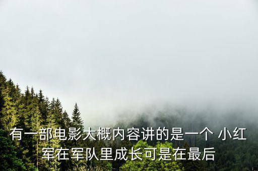 有一部電影大概內容講的是一個 小紅軍在軍隊里成長可是在最后