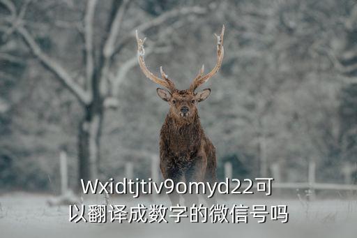 英文微信號(hào)，英文你有微信號(hào)嗎怎么說不會(huì)說