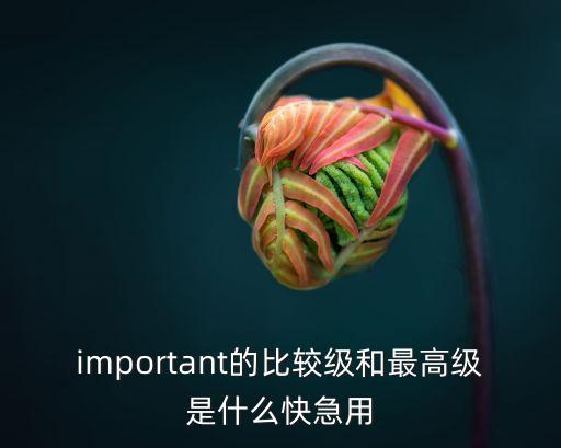 important的比較級和最高級，important的比較級和最高級是什么快急用