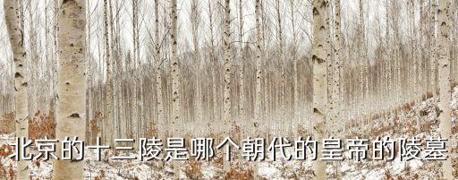 北京的十三陵是哪個朝代的皇帝的陵墓
