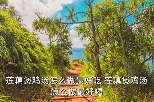 蓮藕煲雞湯怎么做最好吃 蓮藕煲雞湯怎么做最好喝