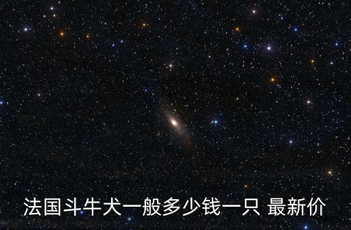 法國(guó)斗牛犬一般多少錢一只 最新價(jià)
