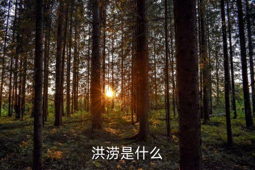 洪澇是什么